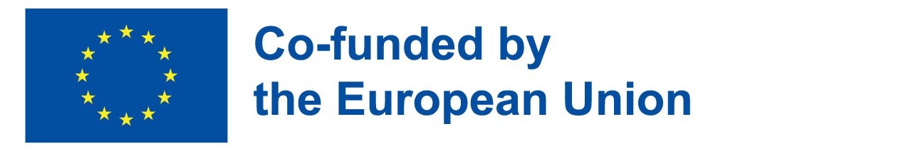 Co-funded by the EU